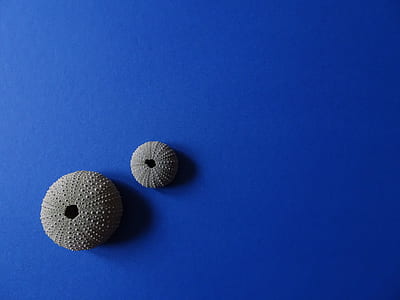 two round brown decors thumbnail