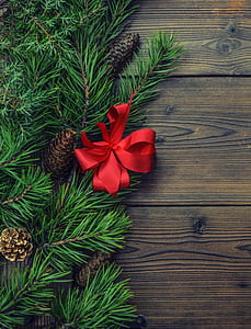 pine cones with red tie thumbnail