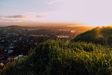 green grass on mountain thumbnail