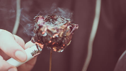 person with lighter burning rose thumbnail