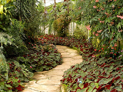 landscape, shrub, garden, path thumbnail