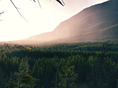aerial photography of green trees and mountain at daytime thumbnail