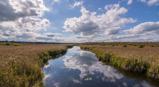 river between grass thumbnail