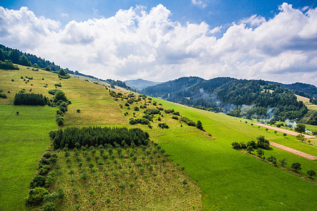 Wonderful Hills Scenery with Green Grass and Trees thumbnail