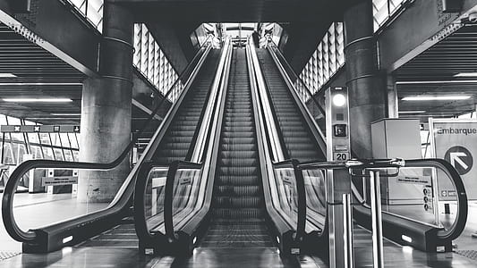 black-and-white, escalators, indoors thumbnail