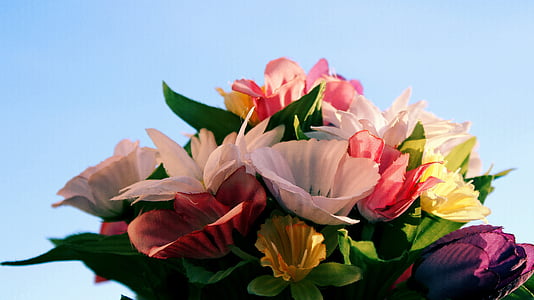 red and white petaled flower bouquet thumbnail