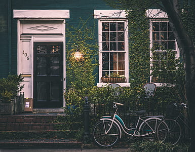bicycle park beside plants and window thumbnail