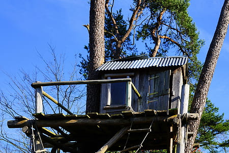 gray wooden house on tree thumbnail