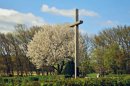 gray concrete cross near trees thumbnail