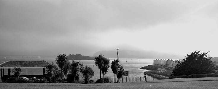 Grayscale Photography of Building Near Body of Water thumbnail