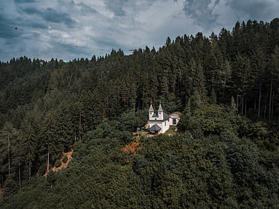 white and gray cathedral on mountain slope surrounded by tall green trees thumbnail