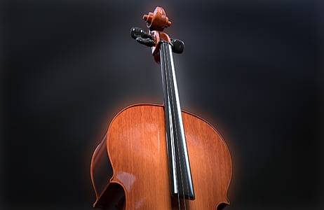cello illustration thumbnail