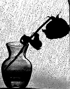 Rose in clear glass vase near window thumbnail