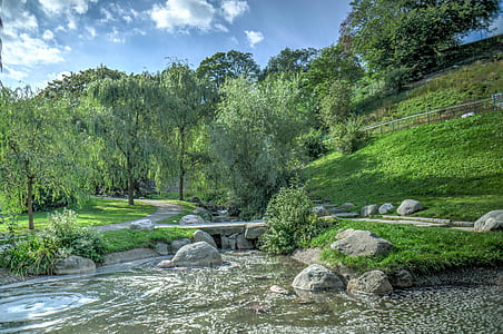 green trees during daytime thumbnail