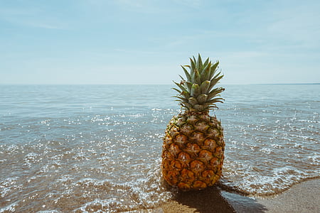 pineapple on beach thumbnail
