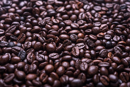 bunch of coffee beans thumbnail