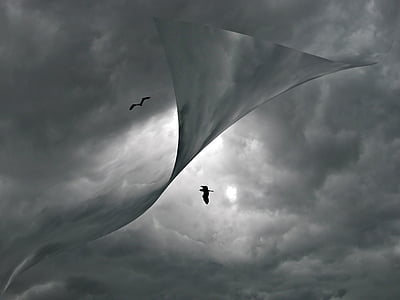 two on flight dragons thumbnail