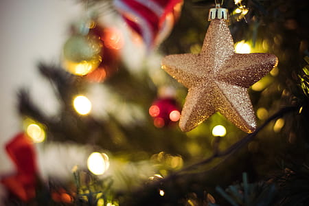 Selective Focus Photography of Gold Star Bauble thumbnail