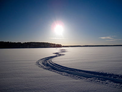 snow field near green trees thumbnail