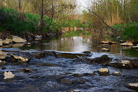 body of water surrounding trees thumbnail