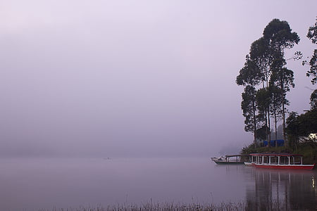 red and white boat near dock thumbnail
