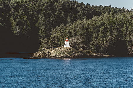 beige lighthouse near body of water and trees thumbnail