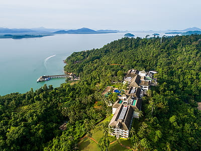 aerial shot of house surrounded by plants thumbnail