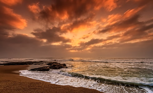 landscape photography of seashore during golden hour thumbnail