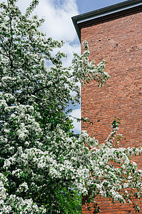 Spring in city thumbnail