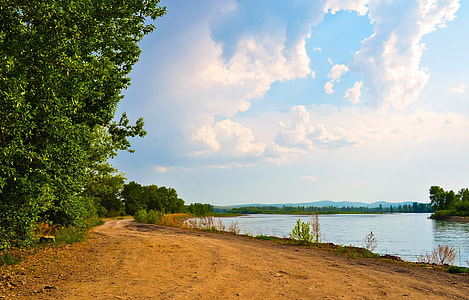 river surrounded by trees thumbnail