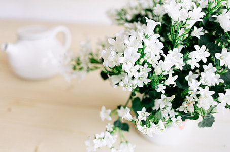 Summer flowers thumbnail