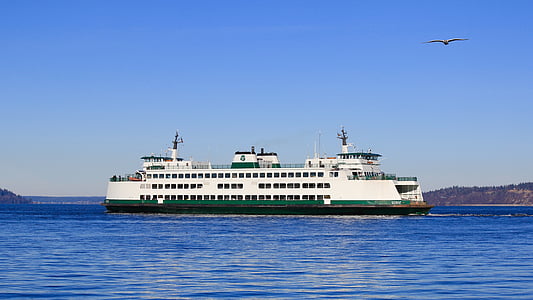 white and green cruise ship thumbnail