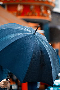 shallow focus photo of umbrella thumbnail