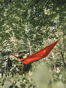 man lying on orange hanging hammock in forest thumbnail