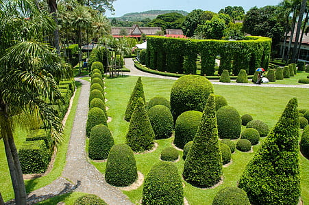 garden green plants during daytime thumbnail