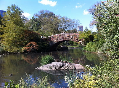 brown bridge surrounded by trees thumbnail