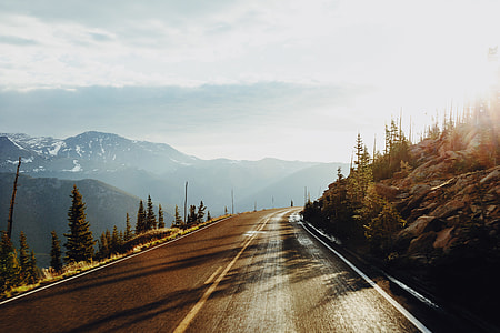 landscape photography of road between trees thumbnail