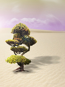 green leafed tree in middle of desert thumbnail
