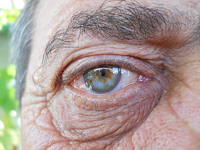 person's right eye thumbnail