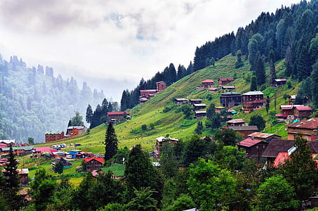 wooden houses on mountain near trees during daytime thumbnail