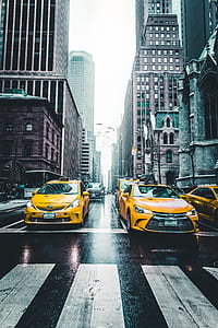 yellow cars stopped near pedestrian lane thumbnail