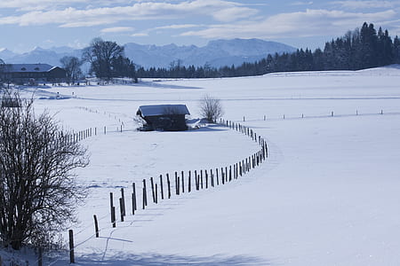 black wooden house in field covered with snow viewing mountain at daytime thumbnail