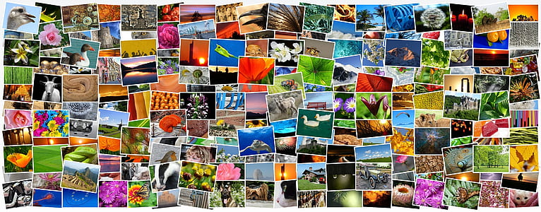 landmark photo thumbnail