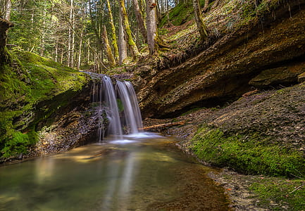waterfalls near trees thumbnail