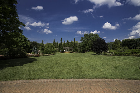 Grass landscape under blue skies in Chicago Botanical Gardens thumbnail