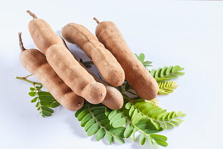 five brown tamarinds thumbnail