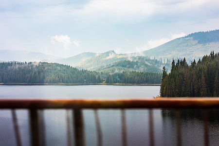Scenic View of Lake and Foggy Forest Seen Through Car Window thumbnail