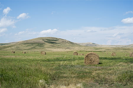 brown hay lot in green lawn field during daytime thumbnail