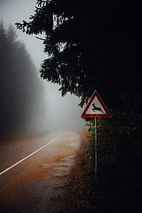 gray asphalt covered with fog thumbnail