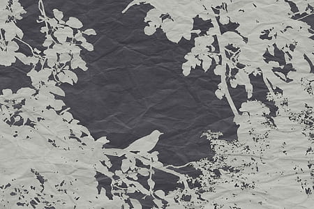 black and white bird silhouette graphic textile thumbnail